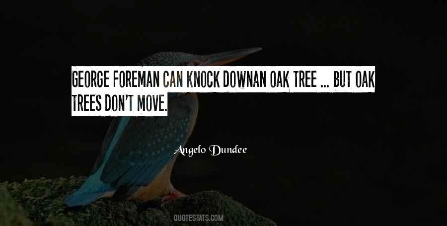 Angelo Dundee Quotes #1684344