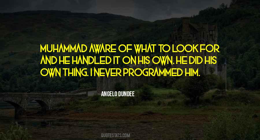 Angelo Dundee Quotes #19797