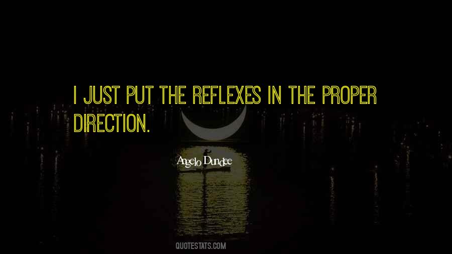 Angelo Dundee Quotes #723755