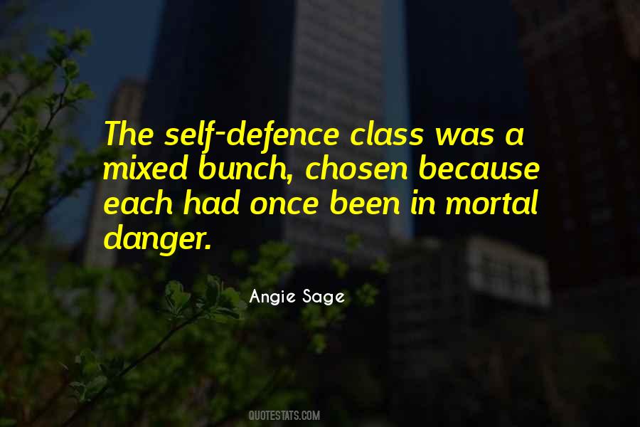 Angie Sage Quotes #1660293