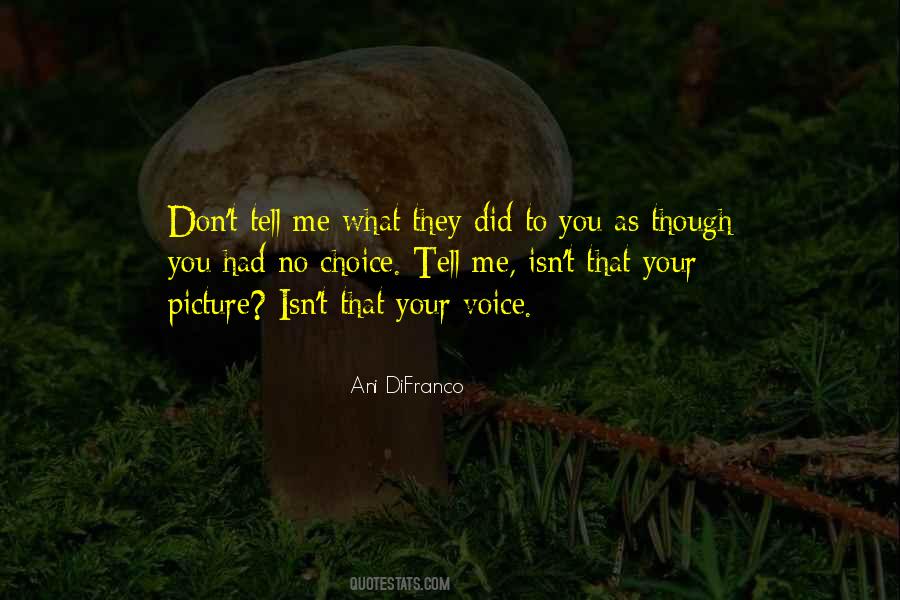 Ani DiFranco Quotes #1415260