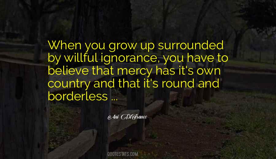Ani DiFranco Quotes #1691302