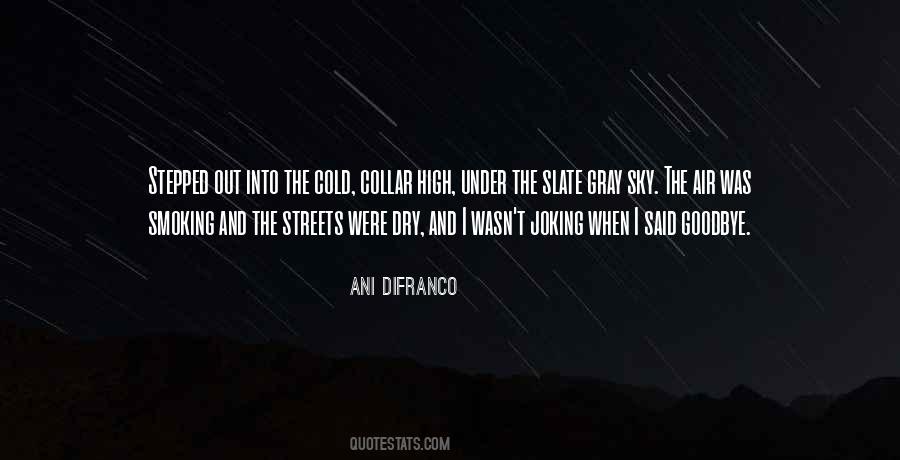 Ani DiFranco Quotes #1708689