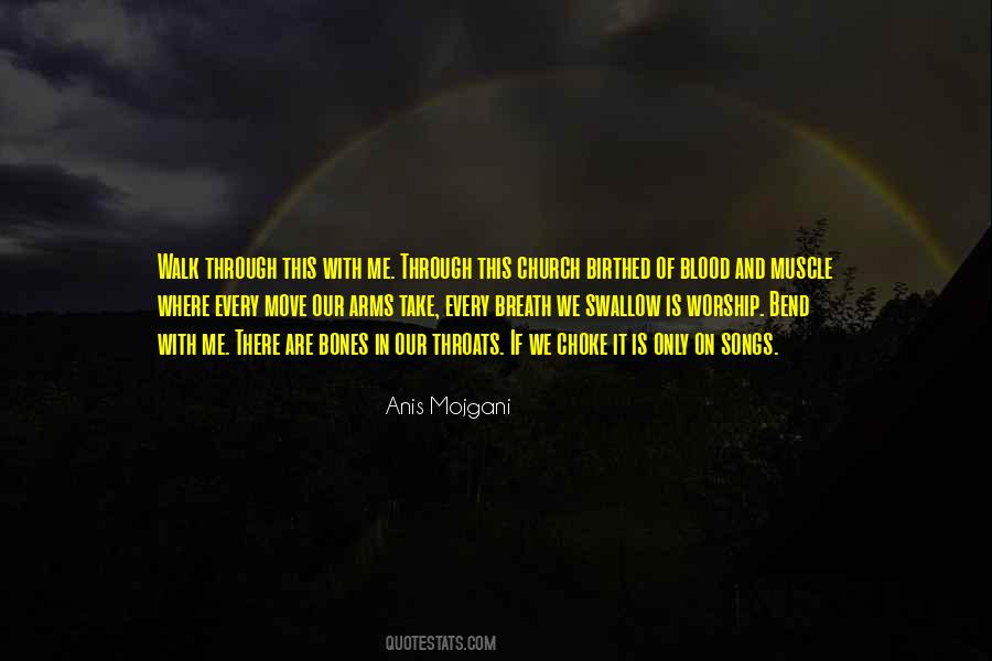 Anis Mojgani Quotes #946924