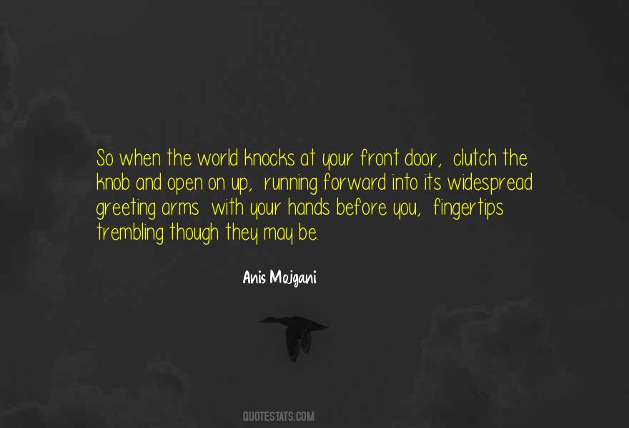 Anis Mojgani Quotes #957994