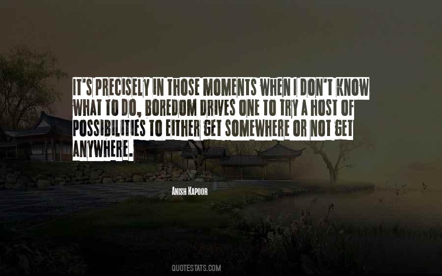 Anish Kapoor Quotes #1264709 Anish Kapoor Quotes #1264709