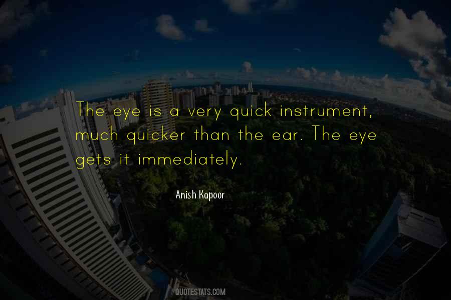 Anish Kapoor Quotes #197646 Anish Kapoor Quotes #197646