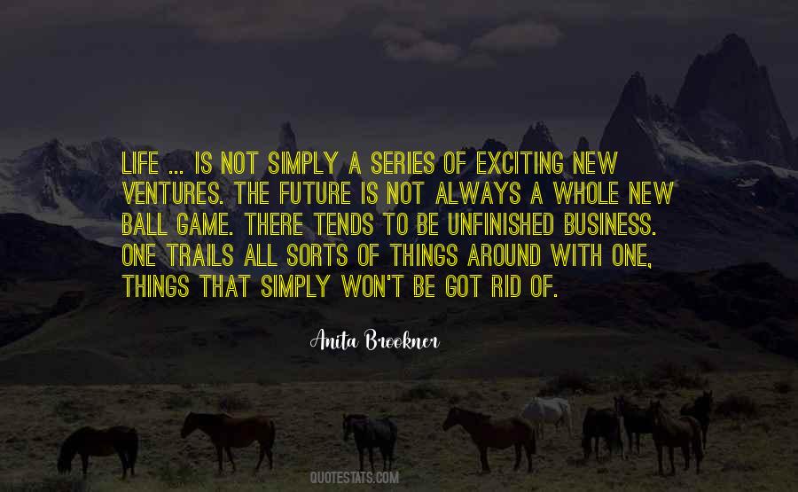 Anita Brookner Quotes #845364