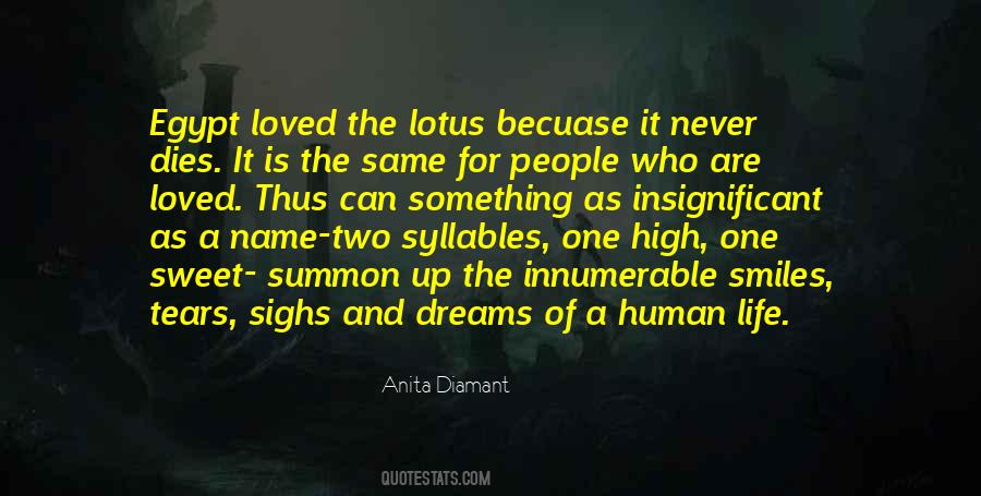 Anita Diamant Quotes #1793020