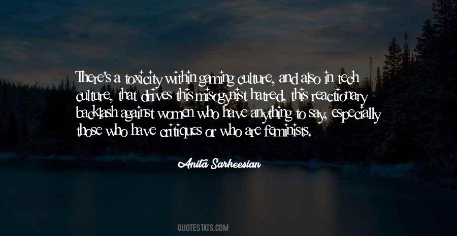 Anita Sarkeesian Quotes #752486