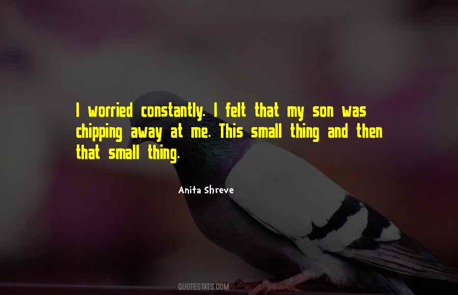 Anita Shreve Quotes #1771010