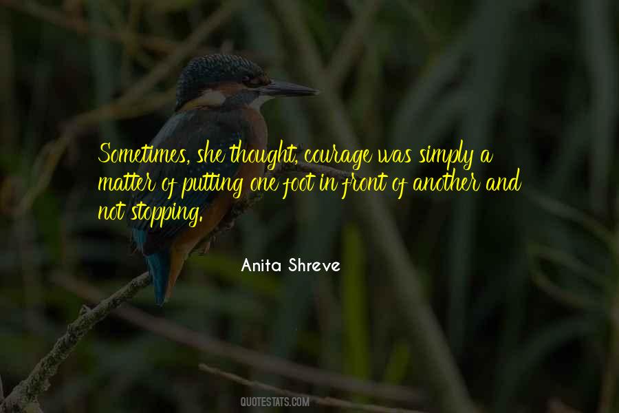 Anita Shreve Quotes #23440