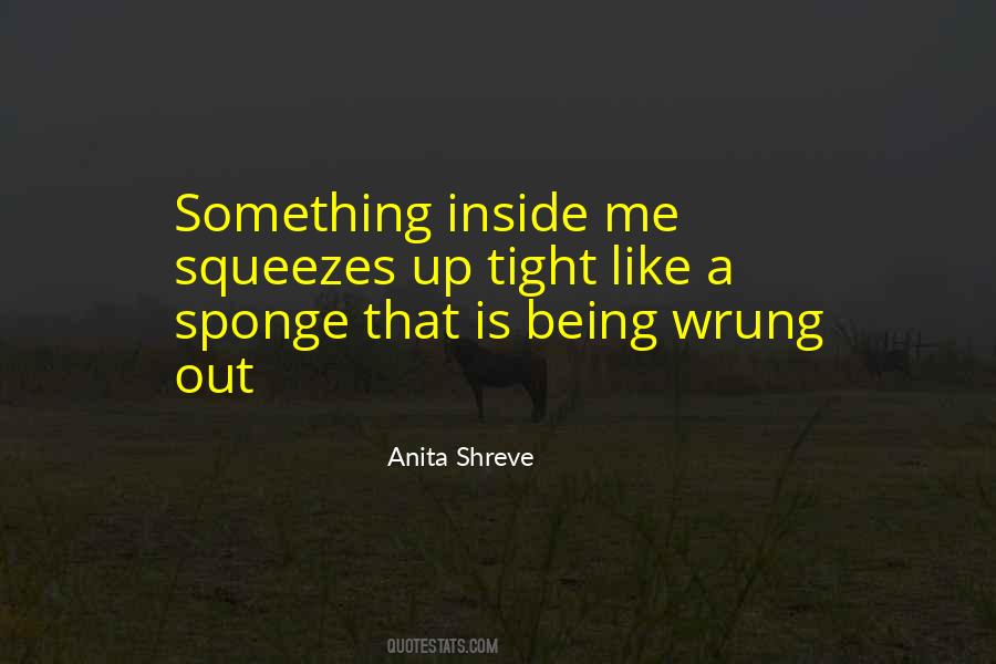 Anita Shreve Quotes #314058