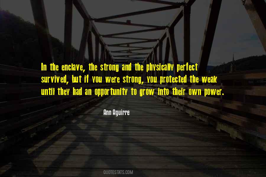 Ann Aguirre Quotes #1420085