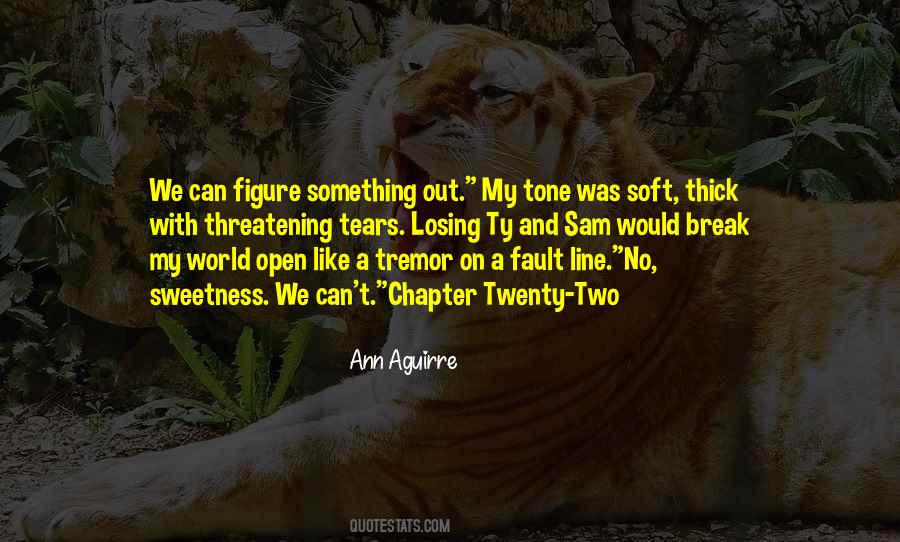 Ann Aguirre Quotes #1510823