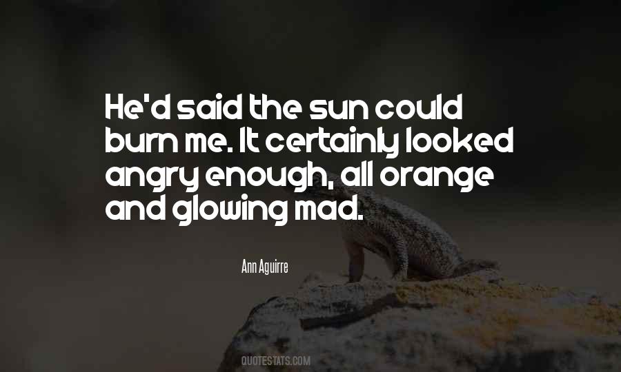 Ann Aguirre Quotes #1579324