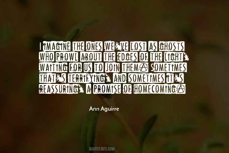 Ann Aguirre Quotes #1842484