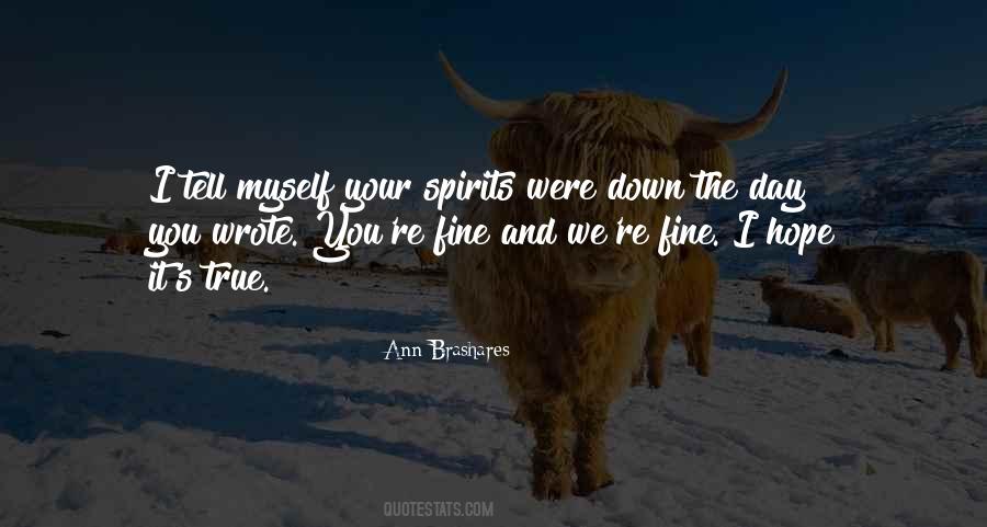 Ann Brashares Quotes #1293720