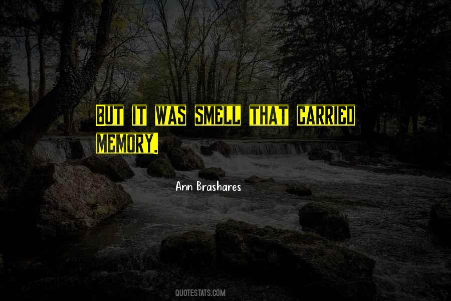 Ann Brashares Quotes #538867