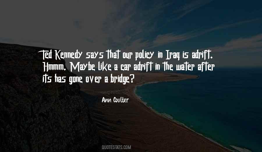 Ann Coulter Quotes #96121