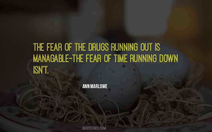 Ann Marlowe Quotes #1705941