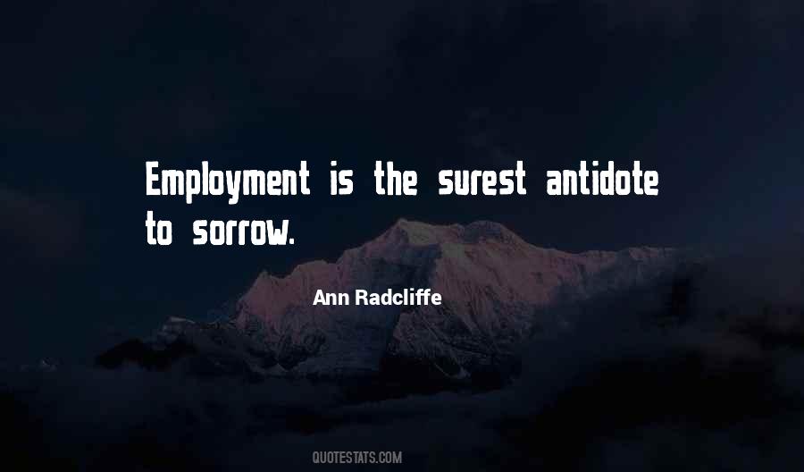 Ann Radcliffe Quotes #998701