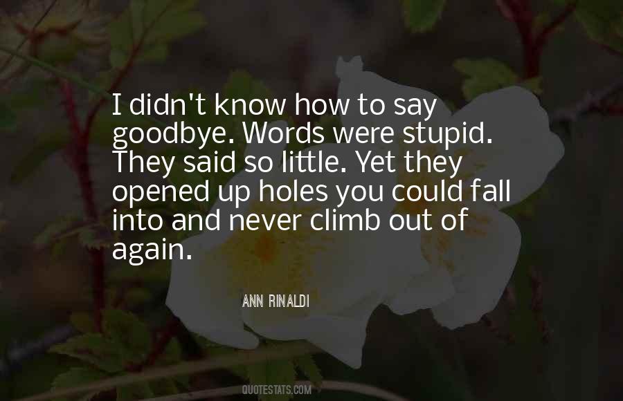 Ann Rinaldi Quotes #1520445
