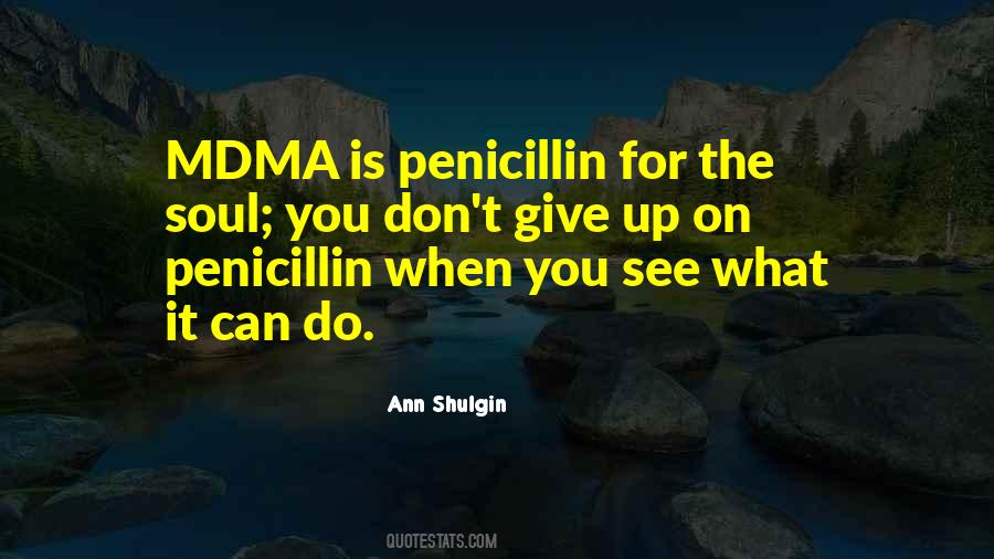 Ann Shulgin Quotes #352768