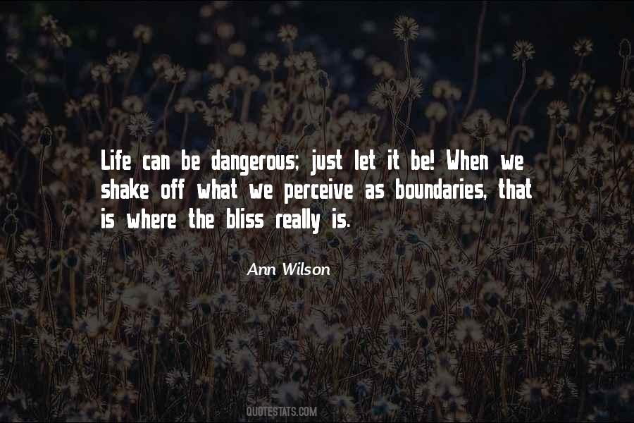 Ann Wilson Quotes #320990