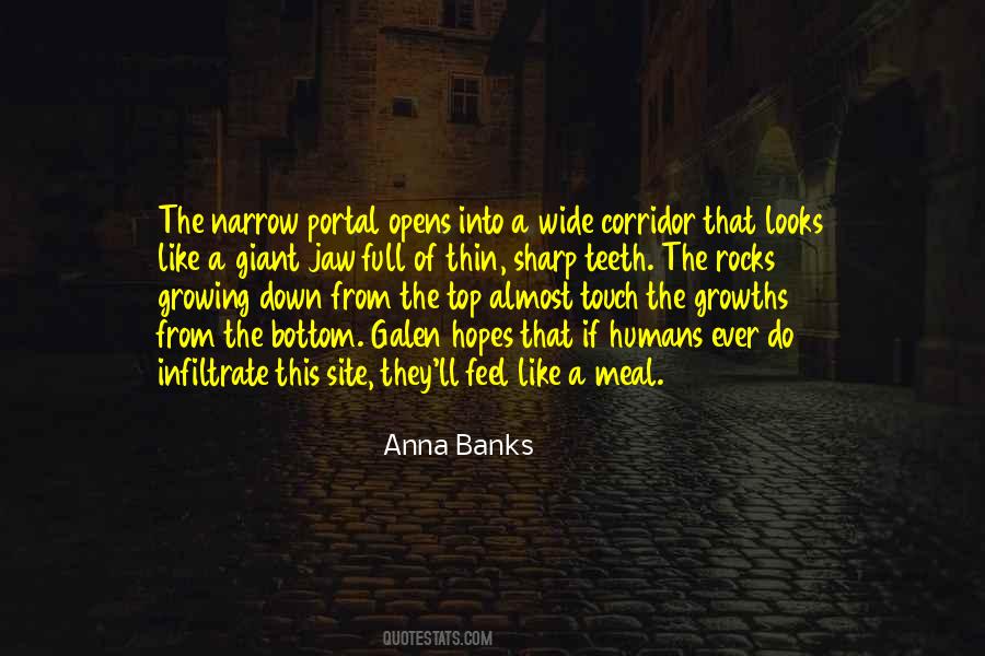 Anna Banks Quotes #964851