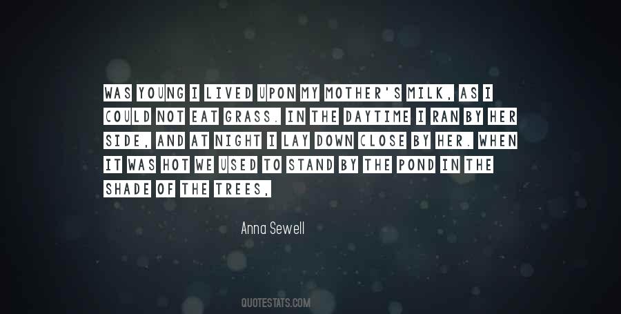 Anna Sewell Quotes #1341543