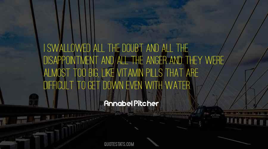 Annabel Pitcher Quotes #975377