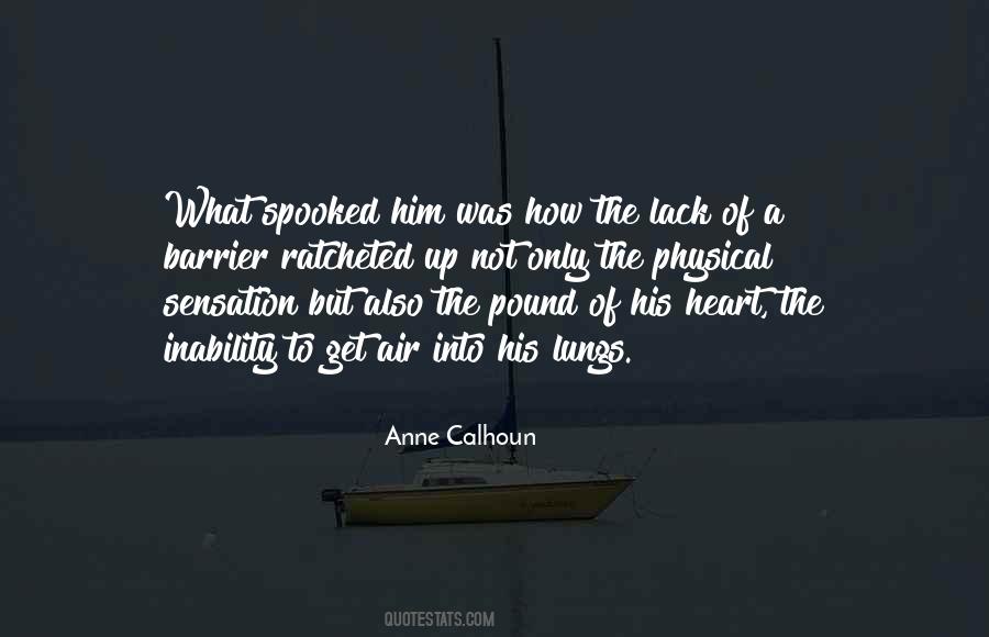 Anne Calhoun Quotes #856493