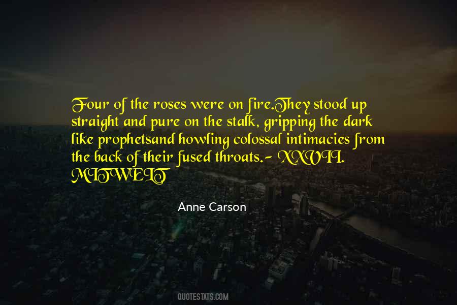 Anne Carson Quotes #409930