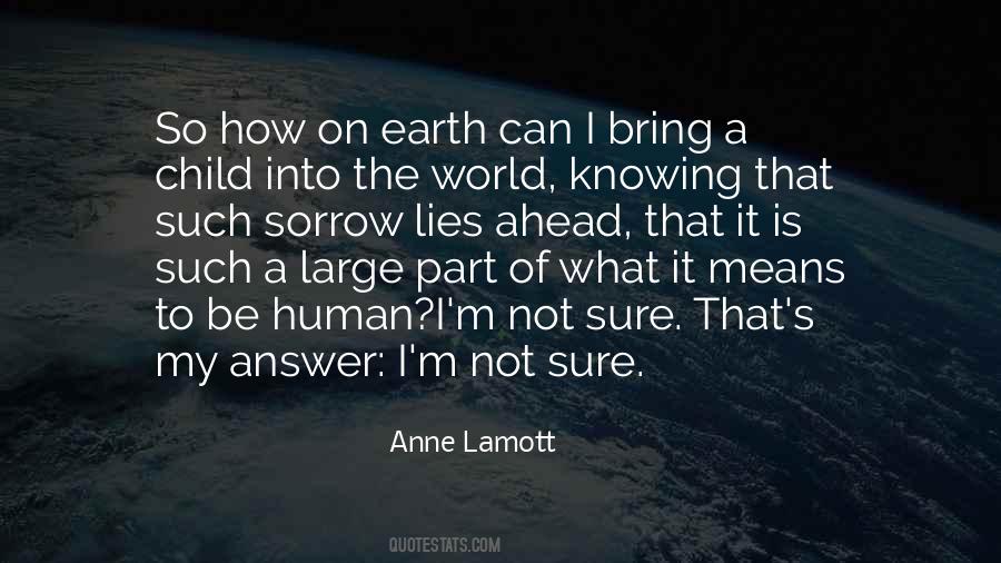 Anne Lamott Quotes #1674808