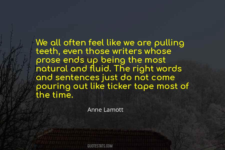 Anne Lamott Quotes #332405