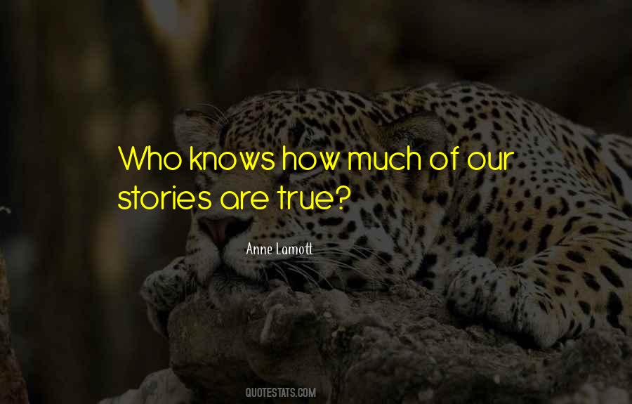 Anne Lamott Quotes #660303