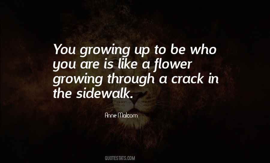 Anne Malcom Quotes #1285913