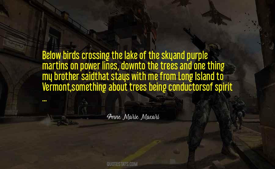 Anne Marie Macari Quotes #1675727 Anne Marie Macari Quotes #1675727