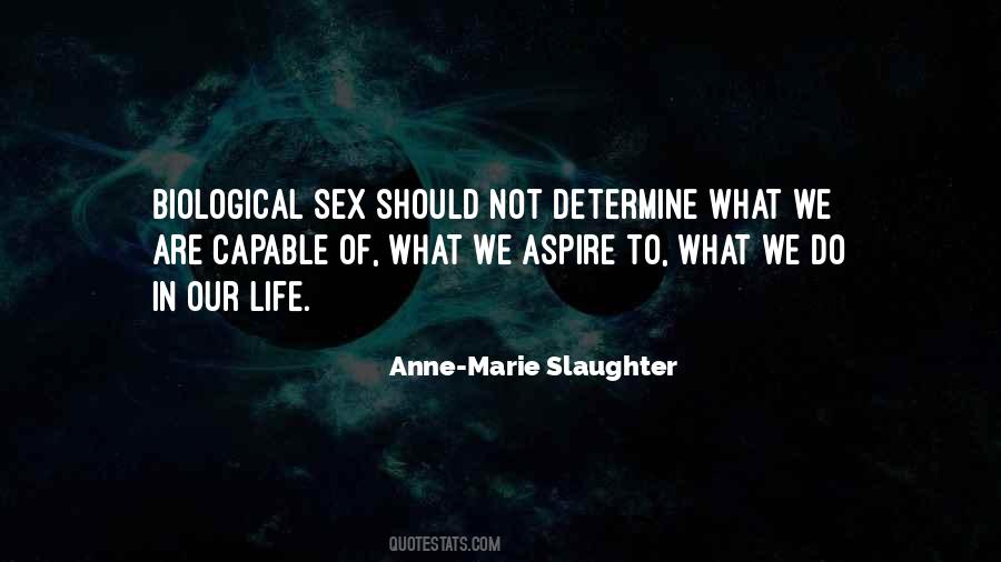 Anne-Marie Slaughter Quotes #764553
