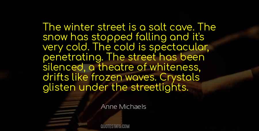 Anne Michaels Quotes #63254