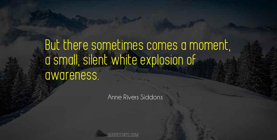 Anne Rivers Siddons Quotes #853401