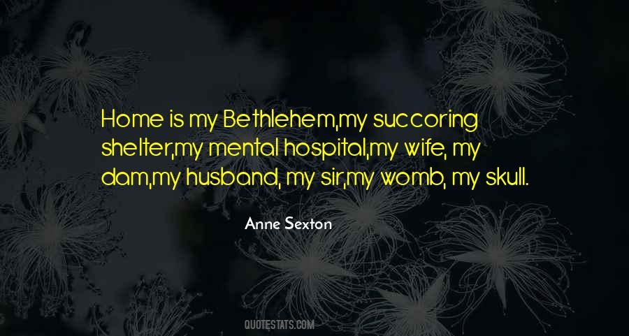 Anne Sexton Quotes #1415820