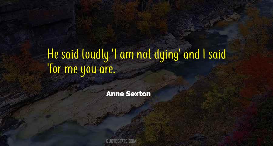 Anne Sexton Quotes #1500000