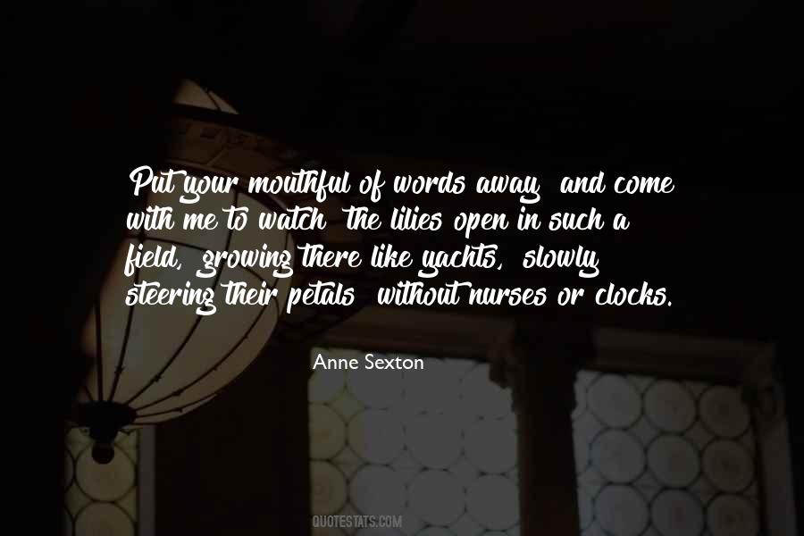 Anne Sexton Quotes #1787773