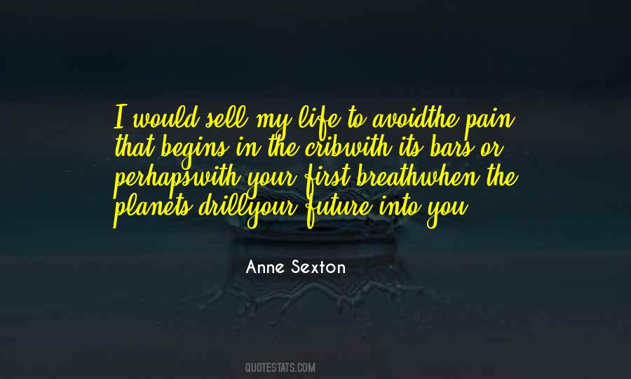 Anne Sexton Quotes #586874