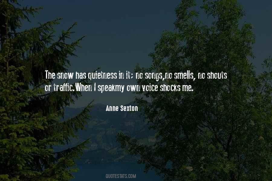 Anne Sexton Quotes #679941