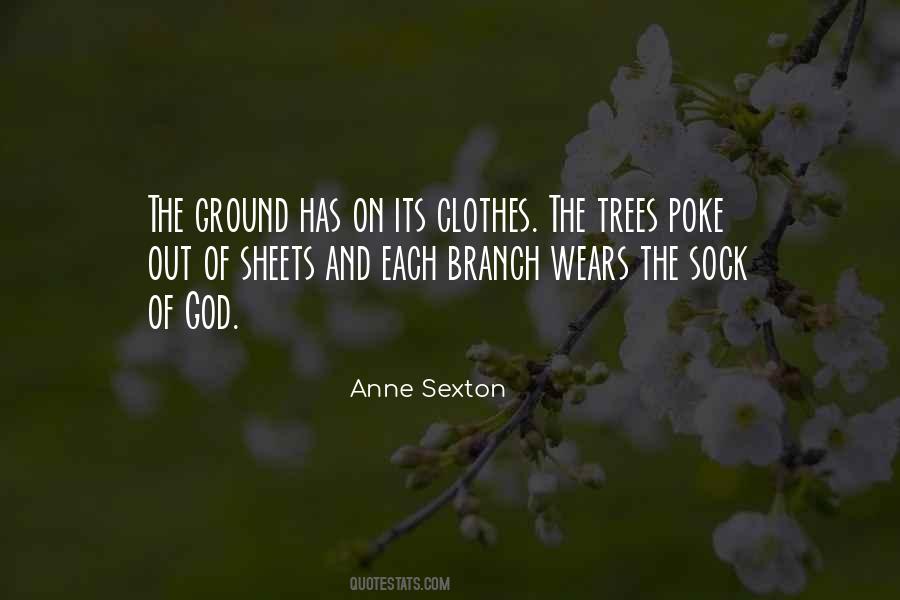 Anne Sexton Quotes #691483