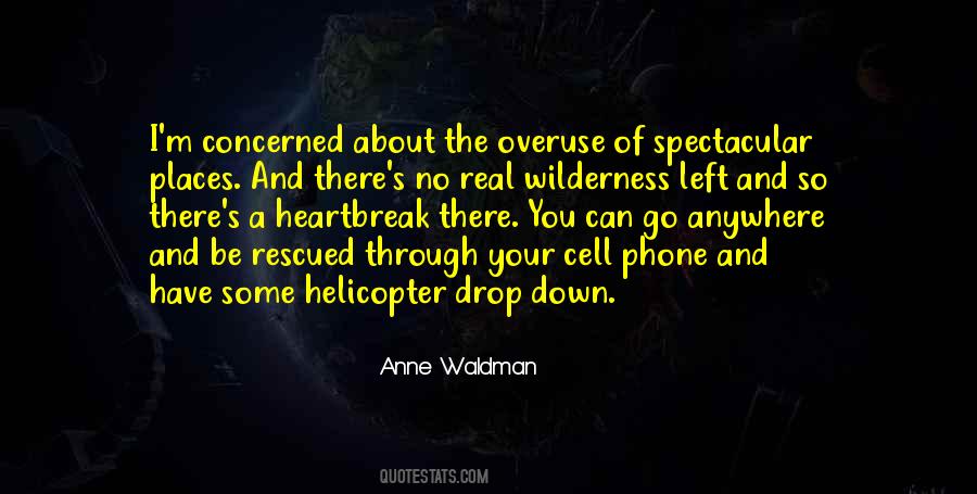 Anne Waldman Quotes #442281