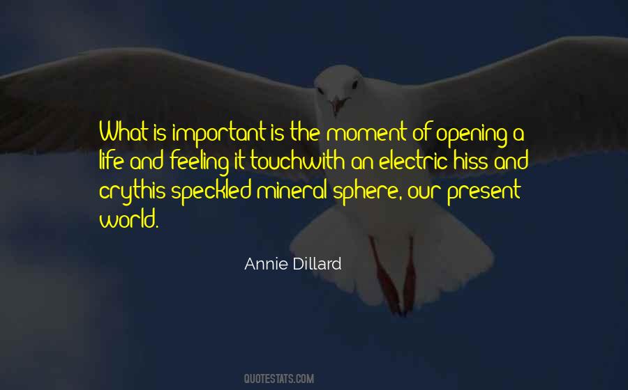 Annie Dillard Quotes #762216